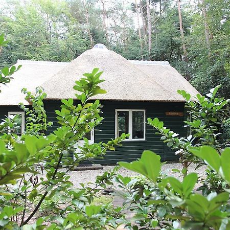 Vakantiehuis 'T Musje Epe Bilik gambar