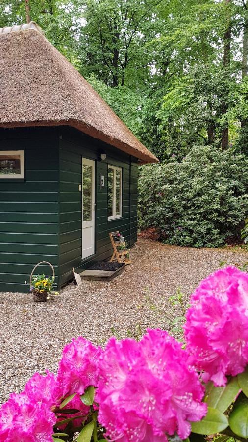 Vakantiehuis 'T Musje Epe Luaran gambar