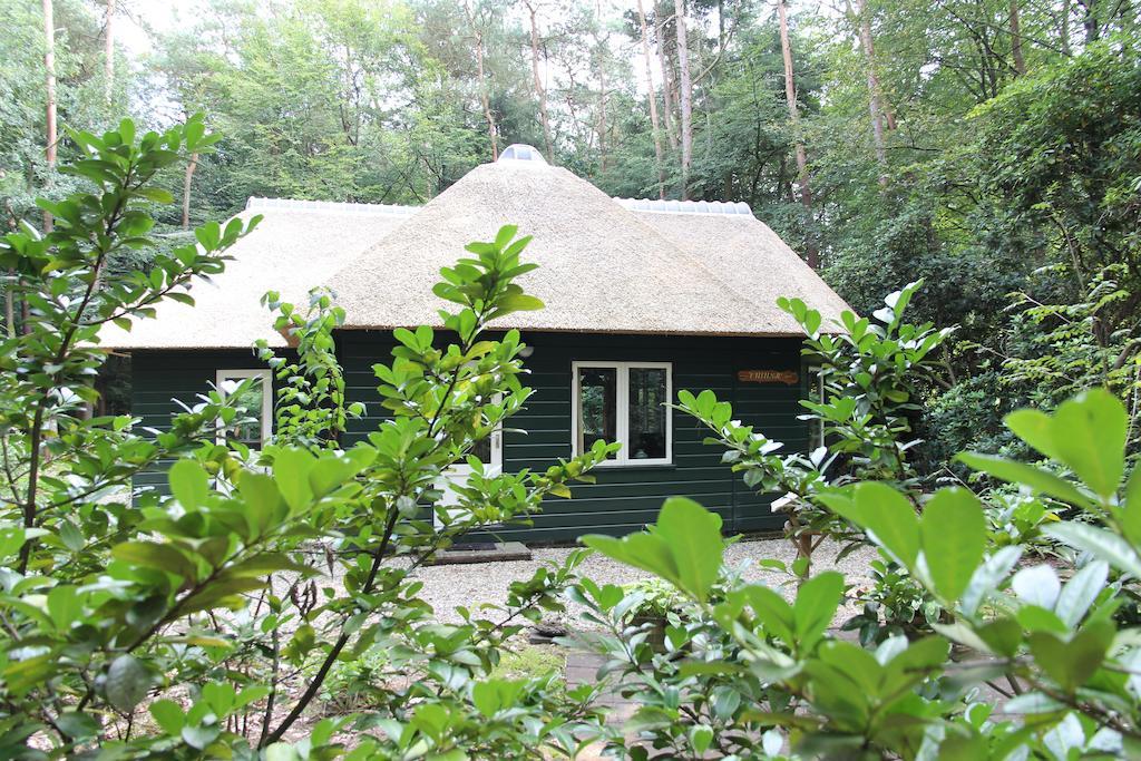 Vakantiehuis 'T Musje Epe Bilik gambar