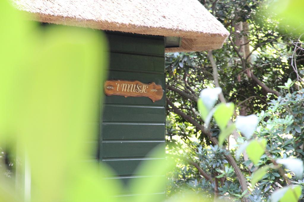 Vakantiehuis 'T Musje Epe Luaran gambar